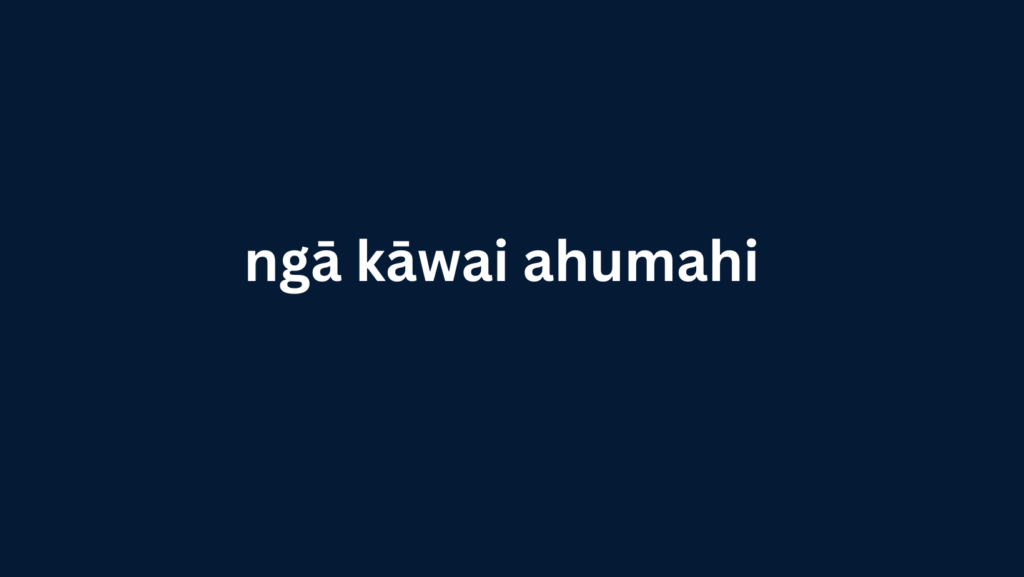 ngā kāwai ahumahi