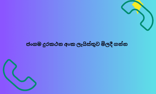 ජංගම දුරකථන අංක ලැයිස්තුව මිලදී ගන්න